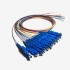 Pigtail - LSH UPC G657A2 OS2 12 Renk  LSZH - Semi Tight Buffer  -  0,9mm - 2 meter